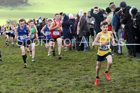 Boys under-13s 2019 British Athletics Inter Counties Cross Country, Prestwood Hall, Loughborough. Photo:  David T. Hewitson/Sports for All Pics